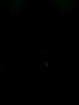 Long Laster online show from 02-12-26, 06:03