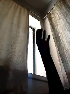 Cocowett online show from 10-10-25, 12:26