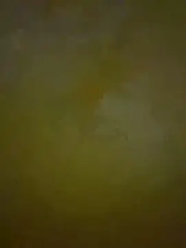 HeviZ online show from 01-21-25, 08:21