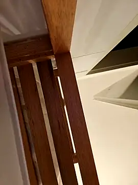 Josephine LIVE online show from 11-28-25, 05:21