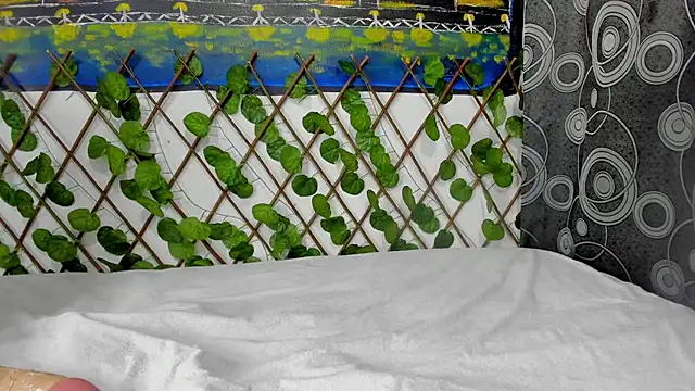 ANEVANS2 online show from 01-13-25, 02:42