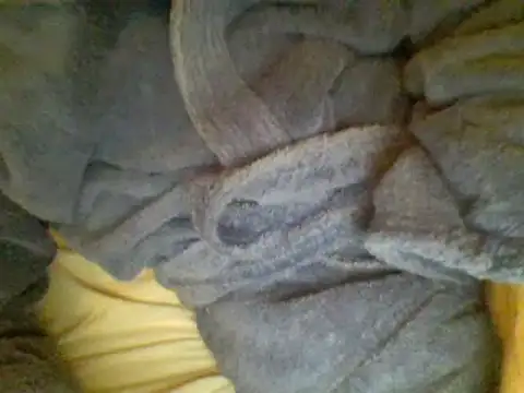 Ariete80s online show from 02-23-25, 06:56