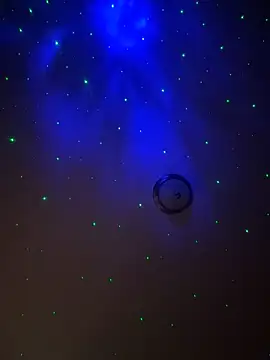 butterflybootyy online show from 02-10-26, 02:32