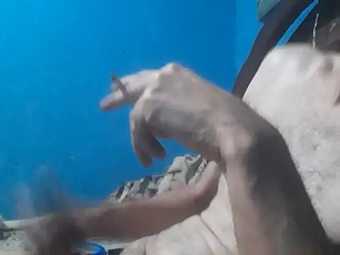 hugosafado333 online show from 10-15-25, 06:35