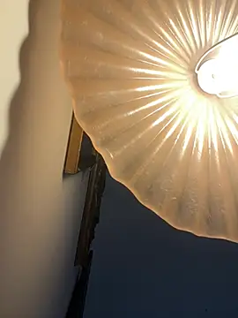 4n4l1zz4m1 online show from 02-05-26, 03:27