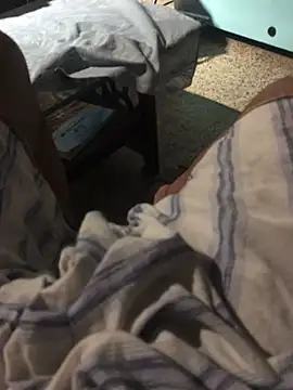 CookedAccord7 online show from 04-08-26, 09:04