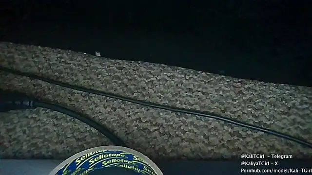 Snapshot of KaliTs chatting on 11-22-25, 12:37 KaliTs online show from 11-22-25, 12:37