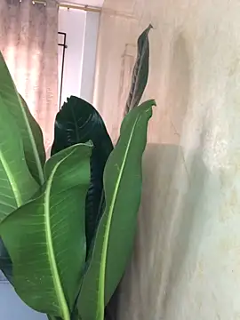 EmmaRossem online show from 03-31-26, 07:36