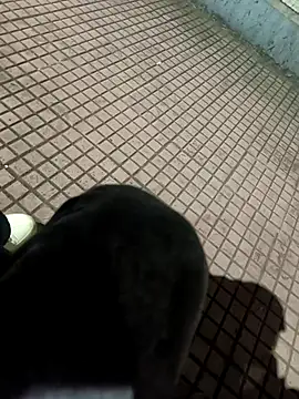 Snapshot of SurjS9 chatting on 09-20-25, 03:35 SurjS9 online show from 09-20-25, 03:35