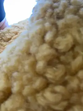 Snapshot of moneymaker_taipei chatting on 02-25-26, 07:29 moneymaker taipei online show from 02-25-26, 07:29