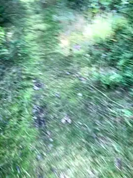 Snapshot of Zbochunec chatting on 09-13-25, 11:43 Zbochunec online show from 09-13-25, 11:43