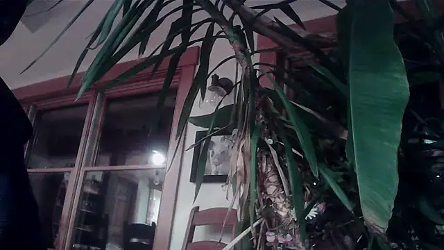 KittingGrappler online show from 11-15-25, 10:48