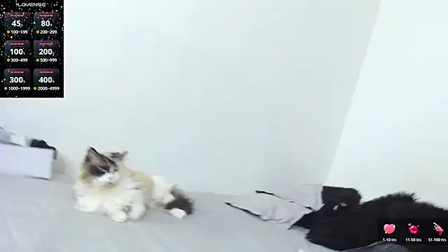 SophieBaker   online show from 02-03-26, 02:10