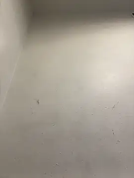 honeybrow online show from 01-08-25, 09:55