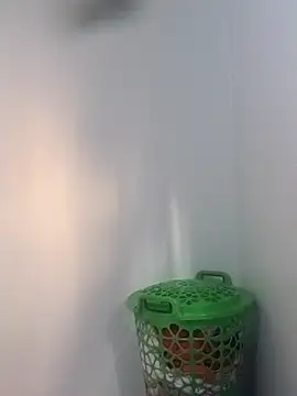 BriannaVincent online show from 02-05-26, 04:39