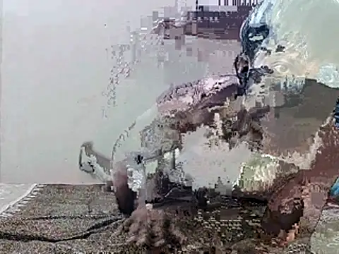 Snapshot of HunkyAriyan chatting on 11-11-25, 01:44 HunkyAriyan online show from 11-11-25, 01:44