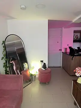 DakotaShelby online show from 01-13-25, 08:37