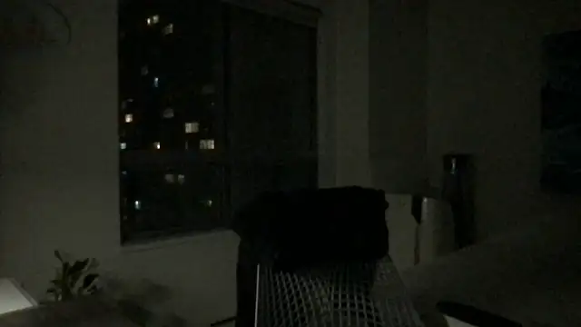 Snapshot of Gingerbushguy chatting on 12-29-24, 09:39 Gingerbushguy online show from 12-29-24, 09:39