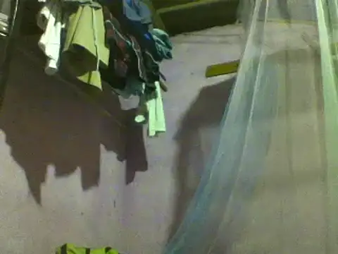 roundbunny online show from 12-10-24, 05:00