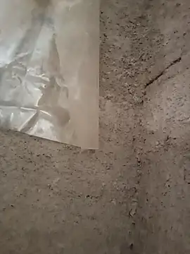 Snapshot of strip_1212 chatting on 11-29-25, 05:27 strip 1212 online show from 11-29-25, 05:27