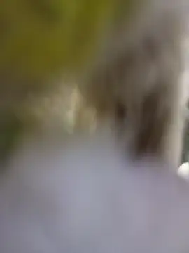 strip 1212 online show from 01-06-26, 11:07