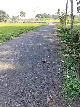 dick 01728 online show from 04-11-26, 09:57