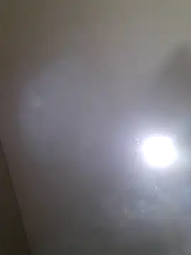 Colorao4 online show from 09-30-25, 02:55