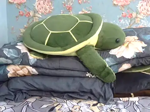 Snapshot of Tiny_lusty chatting on 03-11-25, 06:41 Tiny lusty online show from 03-11-25, 06:41