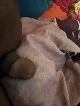 sadunt online show from 03-14-26, 06:52