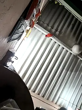 Snapshot of arppyyyxx chatting on 10-22-25, 07:35 arppyyyxx online show from 10-22-25, 07:35