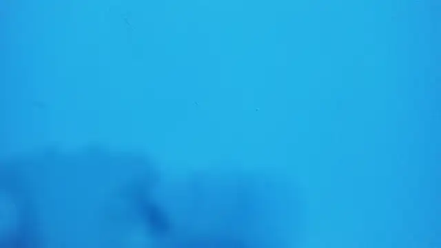 Snapshot of _hairybeard_ chatting on 02-20-25, 09:22 hairybeard online show from 02-20-25, 09:22