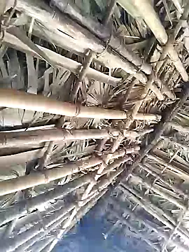 Snapshot of Mrveda66 chatting on 02-09-26, 06:17 Mrveda66 online show from 02-09-26, 06:17