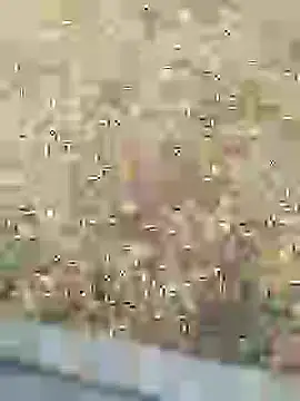 Snapshot of Mrveda66 chatting on 02-10-26, 11:03 Mrveda66 online show from 02-10-26, 11:03