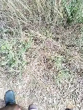 Snapshot of Mrveda66 chatting on 02-23-26, 06:11 Mrveda66 online show from 02-23-26, 06:11