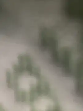 Snapshot of Estefanii- chatting on 12-16-24, 01:32 Estefanii- online show from 12-16-24, 01:32