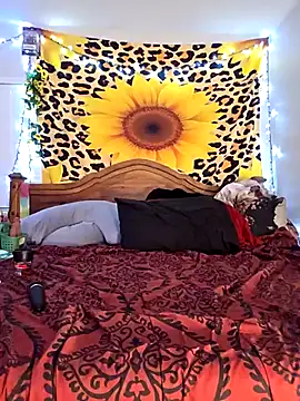 GoddessNikolia online show from 02-24-26, 02:53