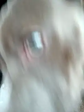 Snapshot of hoesinthishouse78 chatting on 11-22-25, 08:52 hoesinthishouse78 online show from 11-22-25, 08:52