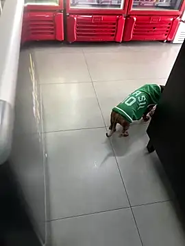 Hjsjsjsjjd online show from 10-14-25, 12:17