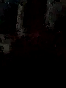 pintuS40 online show from 09-15-25, 02:22