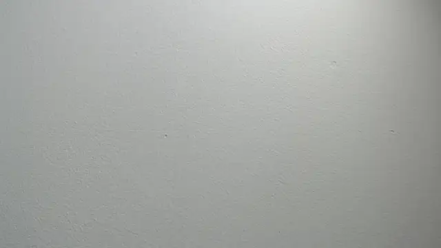 Snapshot of sussy_leon chatting on 02-11-25, 12:16 sussy leon online show from 02-11-25, 12:16