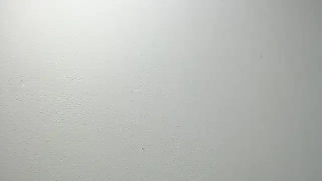 Snapshot of sussy_leon chatting on 02-20-25, 12:15 sussy leon online show from 02-20-25, 12:15