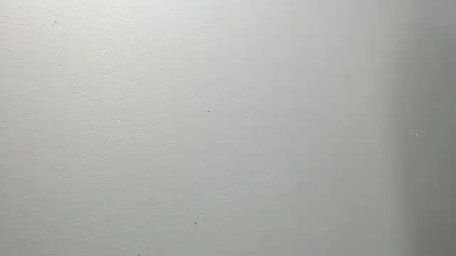 Snapshot of sussy_leon chatting on 03-04-25, 12:22 sussy leon online show from 03-04-25, 12:22