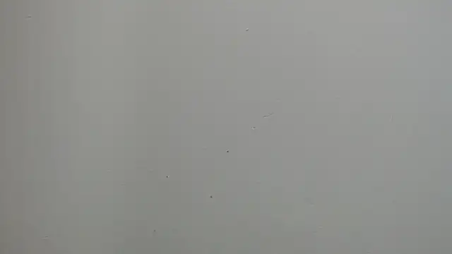 Snapshot of sussy_leon chatting on 03-18-25, 12:25 sussy leon online show from 03-18-25, 12:25