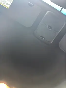 Snapshot of Watson4U chatting on 12-20-24, 07:17 Watson4U online show from 12-20-24, 07:17