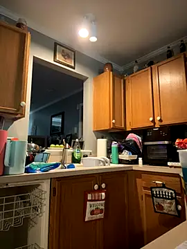 Snapshot of Watson4U chatting on 10-31-25, 03:35 Watson4U online show from 10-31-25, 03:35