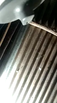 Huebolocko online show from 12-04-24, 03:26