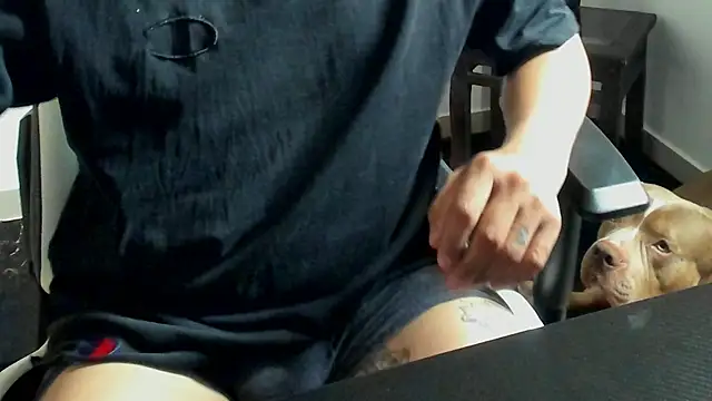 Snapshot of stebankechima chatting on 10-15-25, 12:38 stebankechima online show from 10-15-25, 12:38