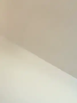 Snapshot of TransboyJay chatting on 02-13-26, 05:31 TransboyJay online show from 02-13-26, 05:31