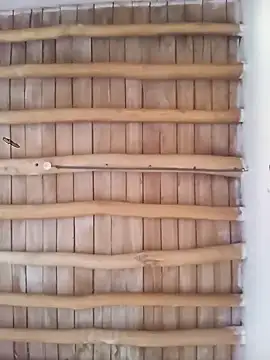 Atabey 65 online show from 12-03-25, 12:03