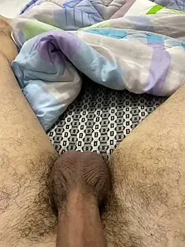 dzpoweralg online show from 02-13-25, 01:37